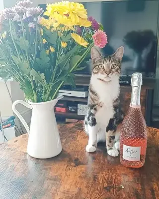Happy 2 years anniversary to Becky!
Congratulations and we hope you enjoy your gifts (cat not included) 
-
-
-
-
#propertymanagementservices #propertymanagementlife #worthingbusiness #womeninbusiness #worthing #DFC #propertymanagment #propertymanager #flowers #workanniversary #celebration #propertymanagement #southeast #property #residential #blockmanagementsussex #blockmanagement #milestones #management #blockmanagementcompany #managingagents #blockmanagementbusiness #managingagentsussex #anniversaries #dfcpropertymanagement -
-
-
#